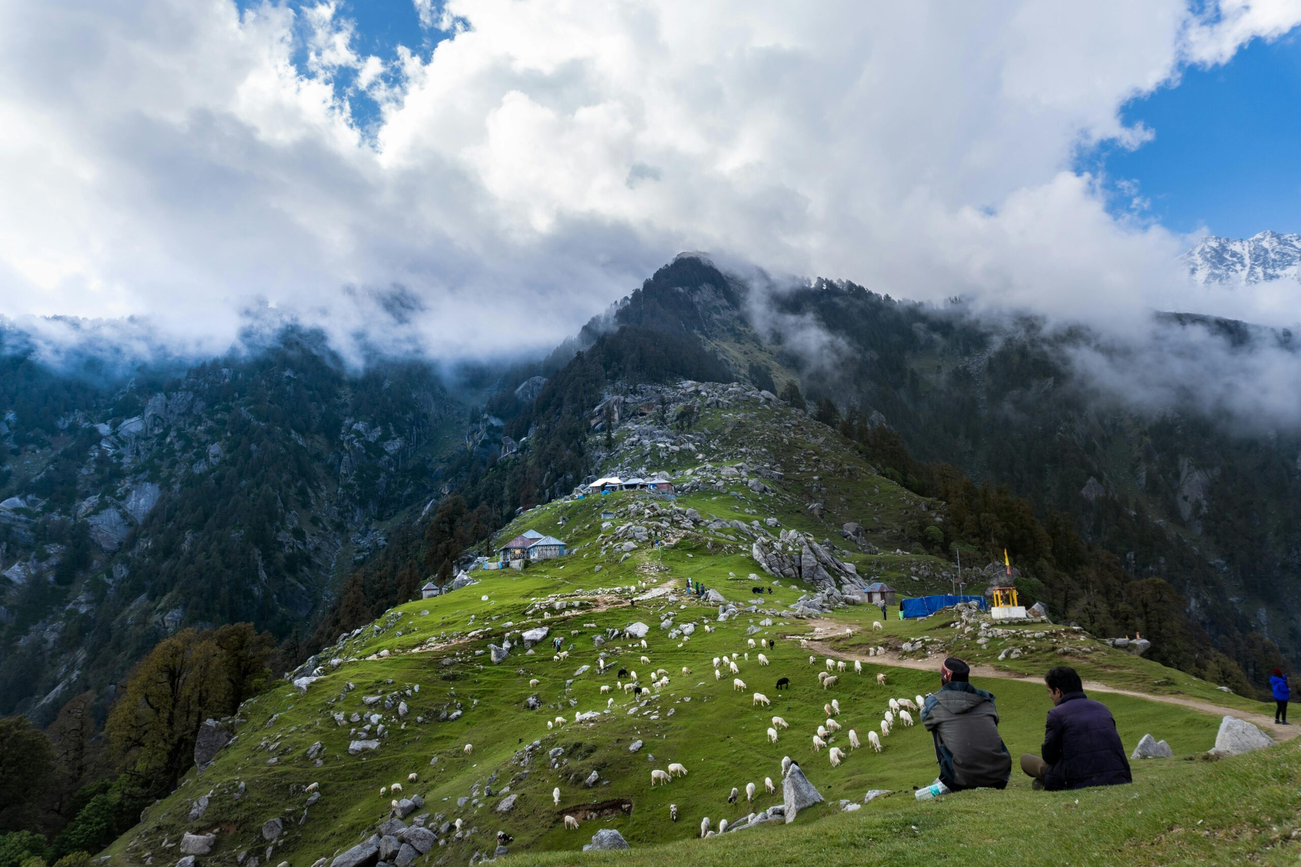 Scenic view of sheep grazing on lush hills in Dharamshala, India, surrounded by mountains and clouds.